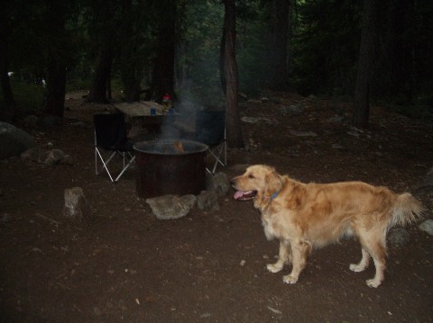 Murphy Camping
