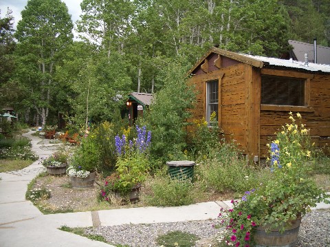 Cozy Pet Friendly Cottages