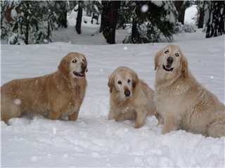We Love All Of The Seasons Here