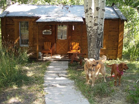 This is Our Favorite Cottage