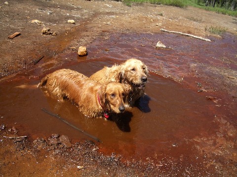 Spring Which Flows Natural Minerals
