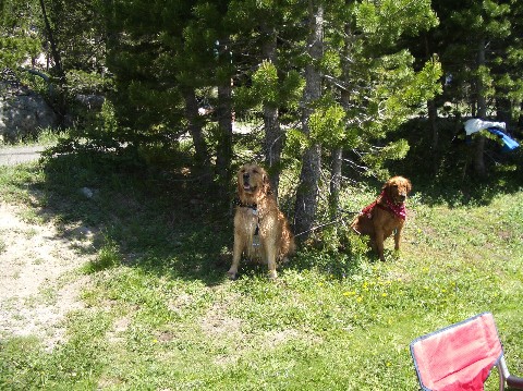 Murphy and Lucy