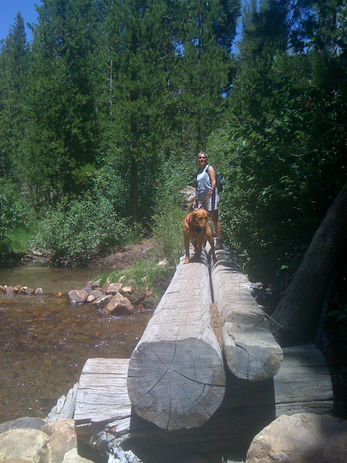 Welcome to the trail