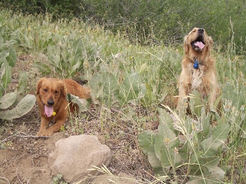 Hike Anyone?